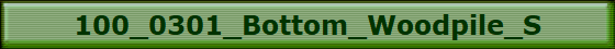 100_0301_Bottom_Woodpile_S