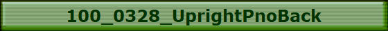 100_0328_UprightPnoBack
