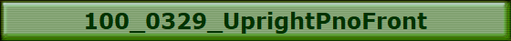100_0329_UprightPnoFront