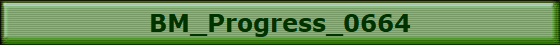 BM_Progress_0664