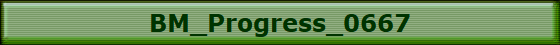 BM_Progress_0667