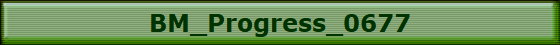 BM_Progress_0677