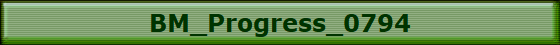 BM_Progress_0794