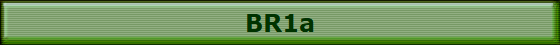 BR1a