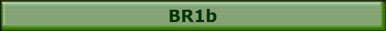BR1b