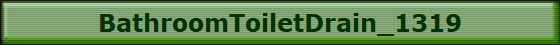 BathroomToiletDrain_1319
