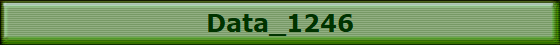 Data_1246