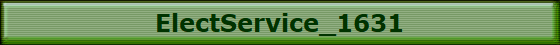 ElectService_1631