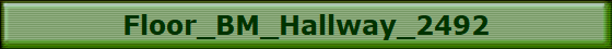 Floor_BM_Hallway_2492