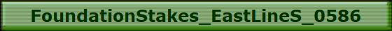 FoundationStakes_EastLineS_0586