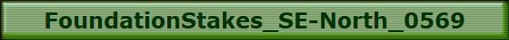 FoundationStakes_SE-North_0569
