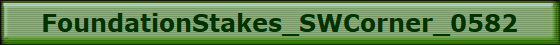 FoundationStakes_SWCorner_0582
