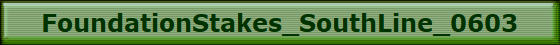 FoundationStakes_SouthLine_0603