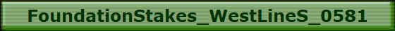 FoundationStakes_WestLineS_0581