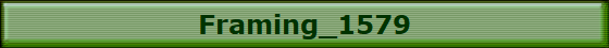 Framing_1579