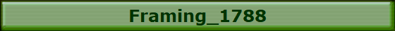 Framing_1788