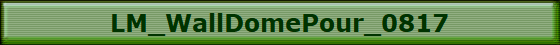 LM_WallDomePour_0817