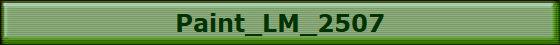 Paint_LM_2507