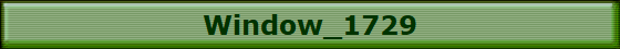 Window_1729
