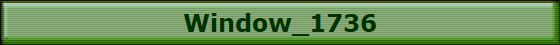 Window_1736