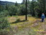 100_0287_Top_DrivewayEnd_SE