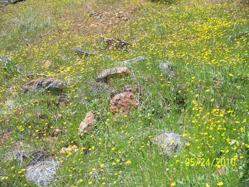 100_0290_Top_ExampleRocks_1