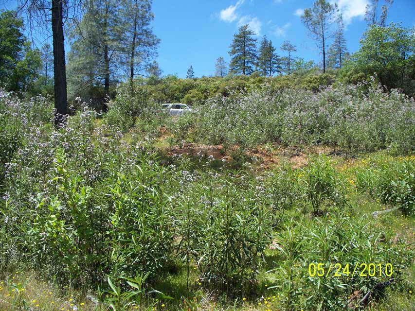 100_0295_Top_MainDoorLoc_-13_W