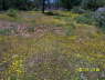 100_0297_Top_MainDoorLoc_-13_SW