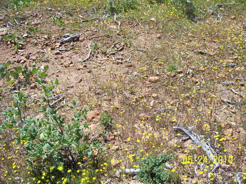 100_0298_Top_ExampleRocks_2