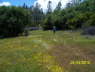 100_0301_Bottom_Woodpile_S