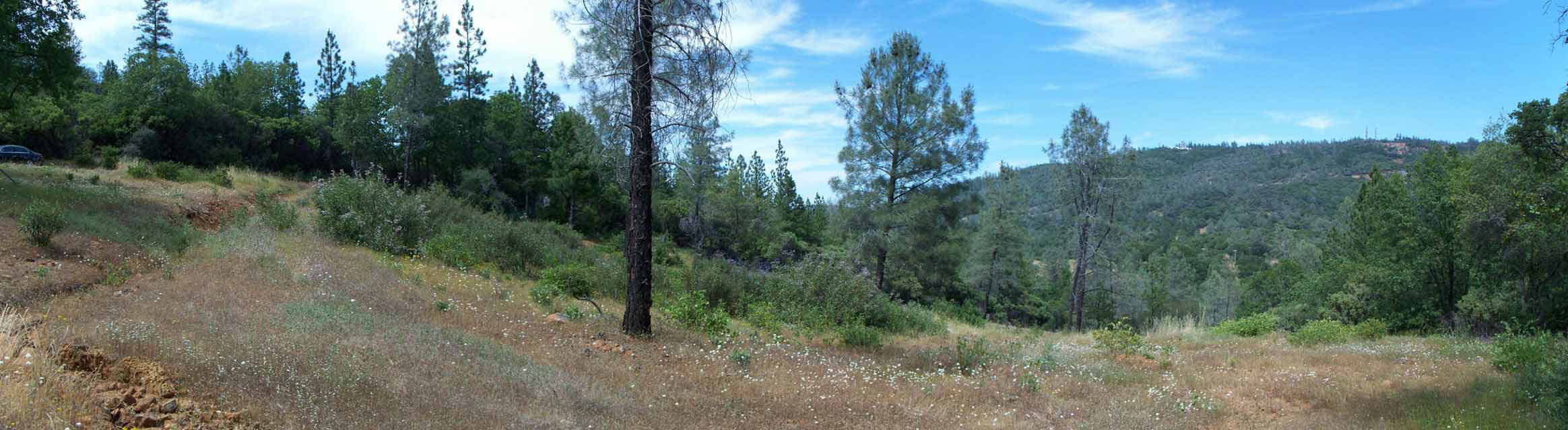 100_0311_Top_Panoramic_UpperBuild_Front_N