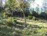 100_0339_UpperBuildSite