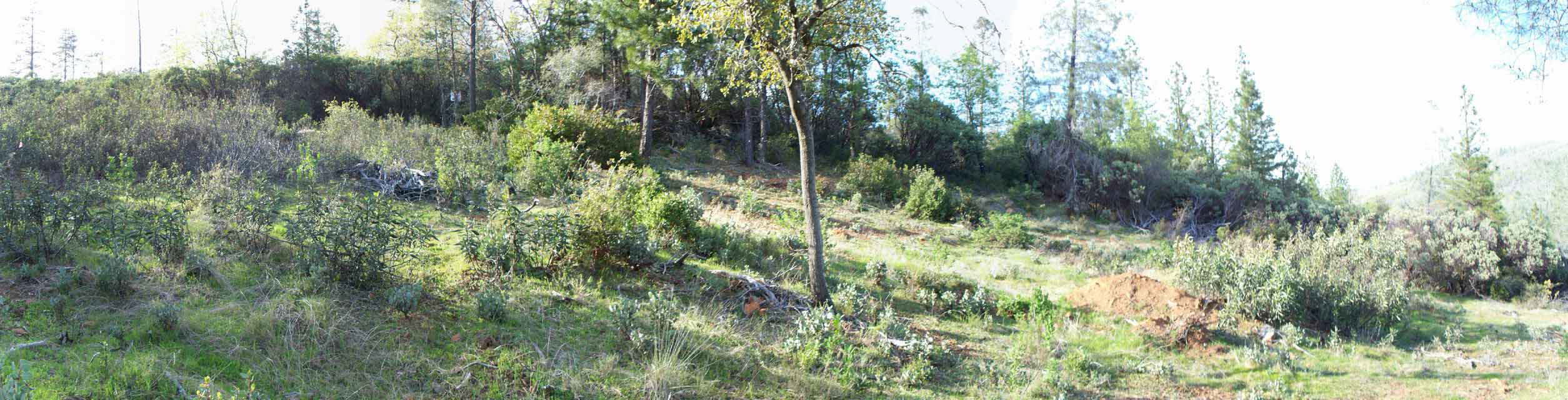 100_0340_UpperBuildSite_Panoramic1