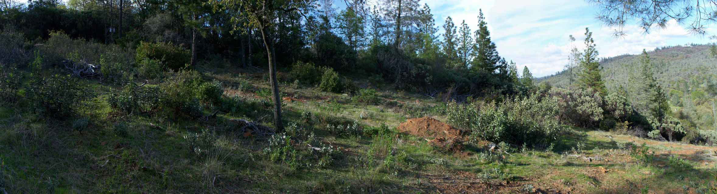 100_0341_UpperBuildSite_Panoramic2