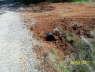 100_0359_Culvert