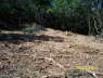 100_0376_AboveLowerSite_3