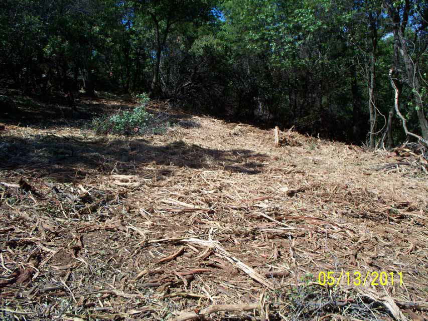 100_0376_AboveLowerSite_3