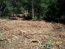 100_0377_AboveLowerSite_2