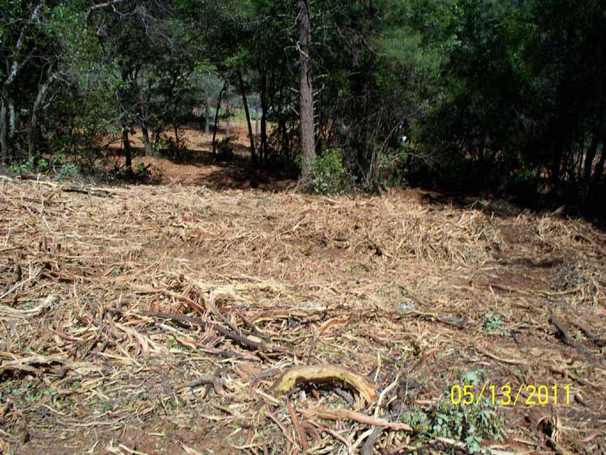 100_0377_AboveLowerSite_2