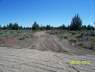 Driveway_0599