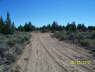 Driveway_0600