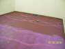 Floor_Studio_2449