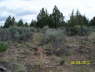 FoundationStakes_BackGarageN_0594