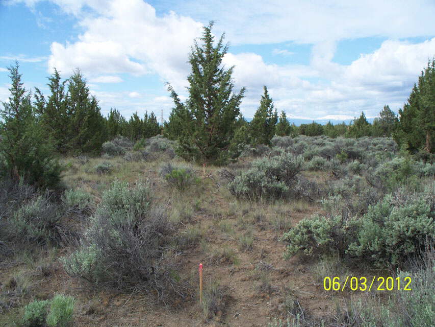 FoundationStakes_BackGarageS_0595