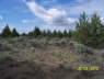 FoundationStakes_EastLineS_0586