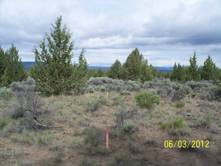 FoundationStakes_NorthModuleLineW_0585