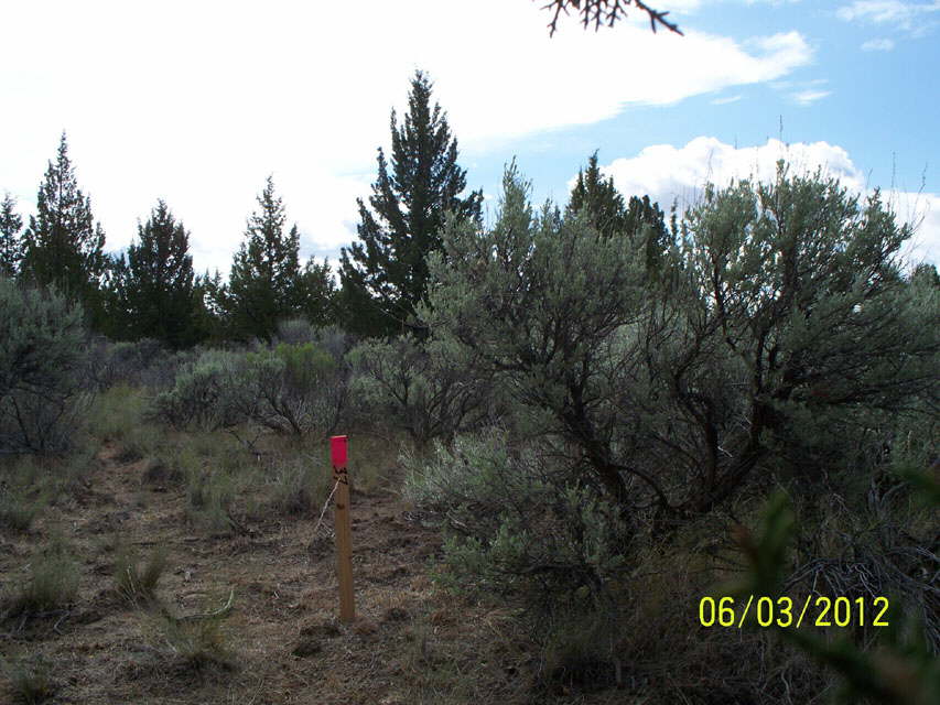 FoundationStakes_SECorner_0590