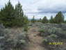 FoundationStakes_SWCorner_0582