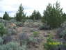 FoundationStakes_SouthCorrected_0592