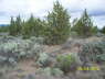 FoundationStakes_SouthLineW_0589